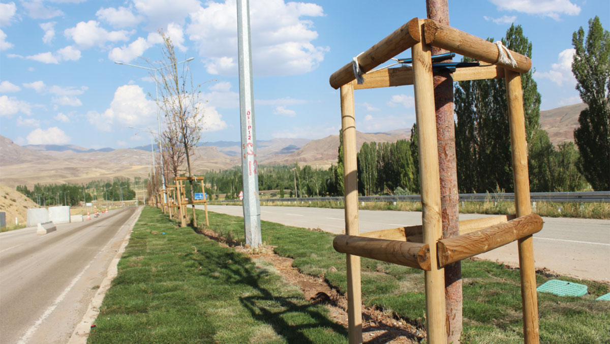 Erzurum yeni bitki örtüsü ile donatıldı