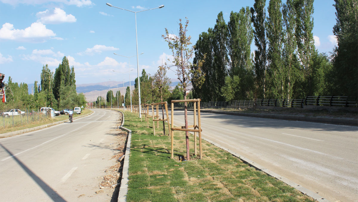 Erzurum yeni bitki örtüsü ile donatıldı