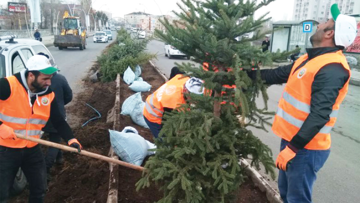 Erzurum yeni bitki örtüsü ile donatıldı