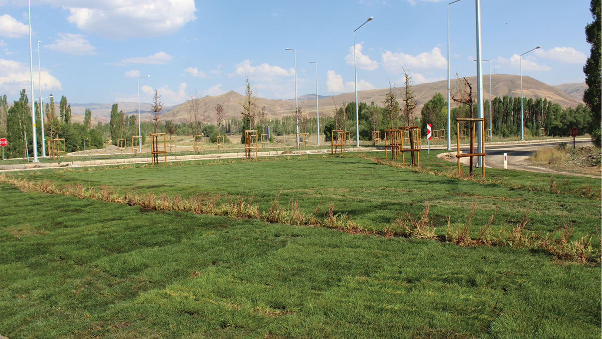 Erzurum yeni bitki örtüsü ile donatıldı