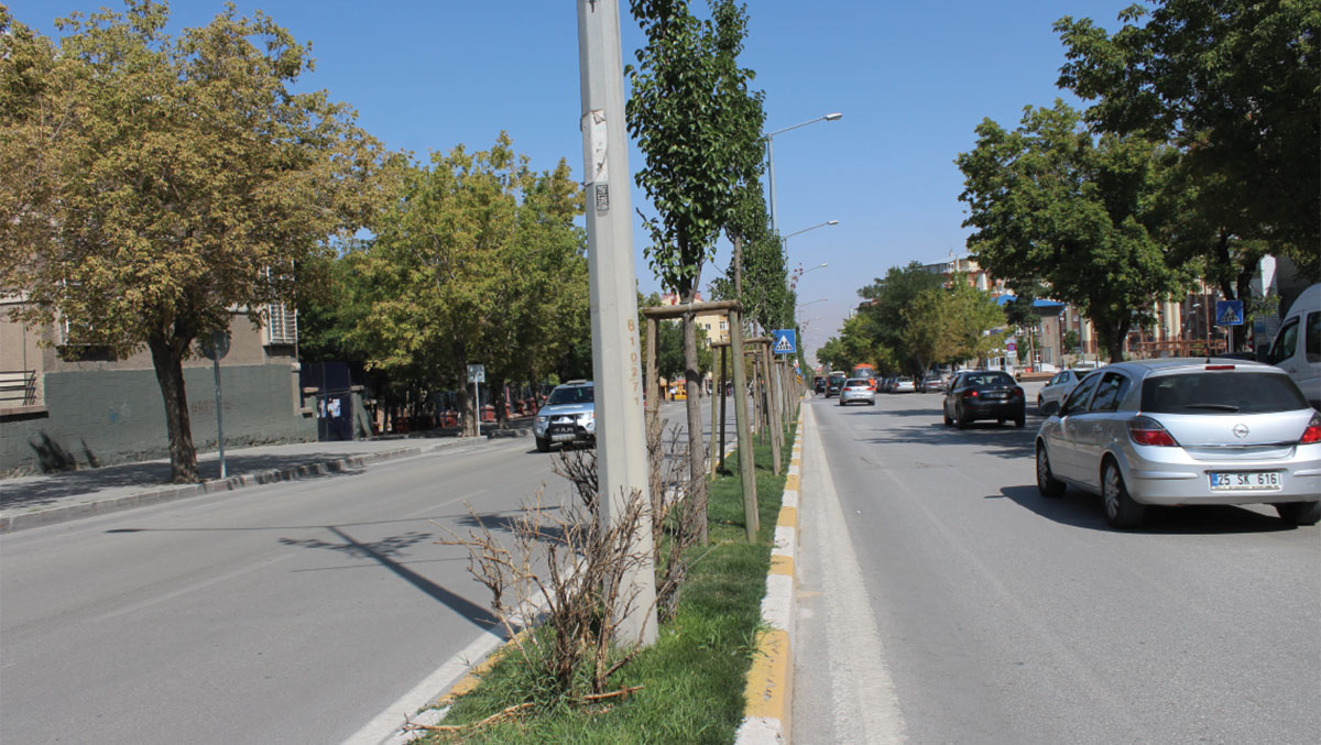 Erzurum yeni bitki örtüsü ile donatıldı