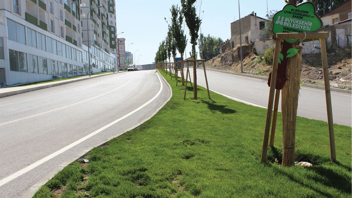 Erzurum yeni bitki örtüsü ile donatıldı