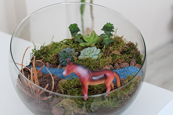 TERRARIUM ÇALIŞMALARI