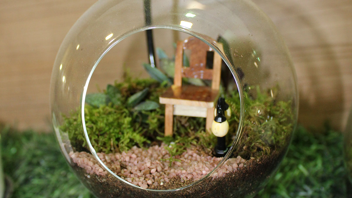 Terrarium Projeleri