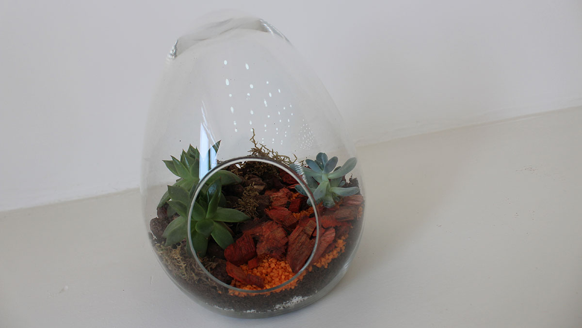 Terrarium Projeleri