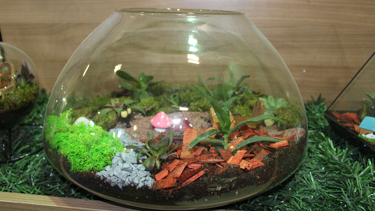 Terrarium Projeleri